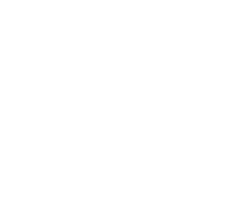 Logo Manyanet