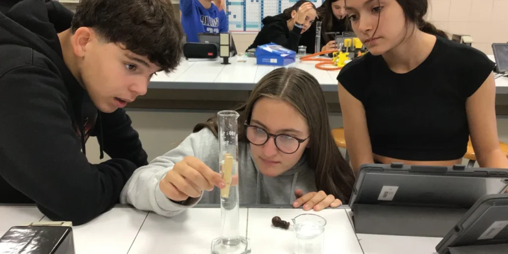 Educació secundària