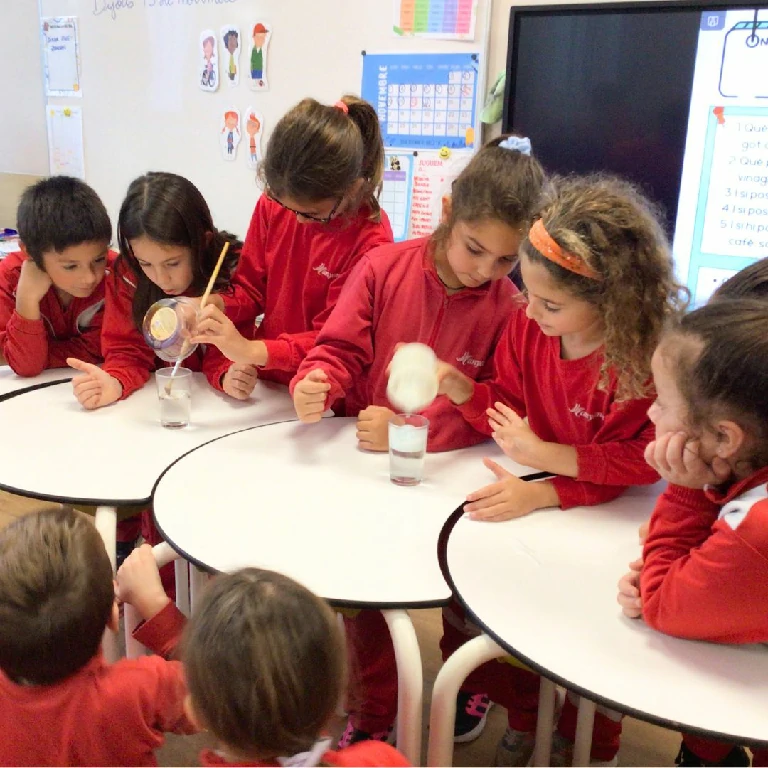 Alumnes treballant science